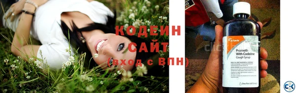 спиды Заводоуковск