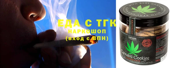 ГАЛЛЮЦИНОГЕННЫЕ ГРИБЫ Тайга