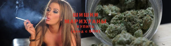 спиды Заводоуковск
