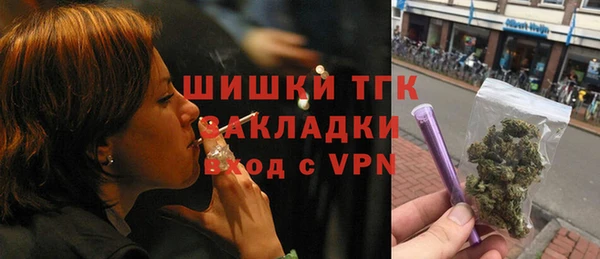 спиды Заводоуковск