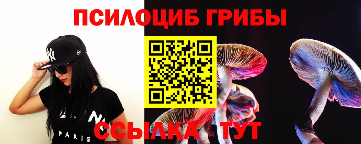 Галлюциногенные грибы прущие грибы Элиста