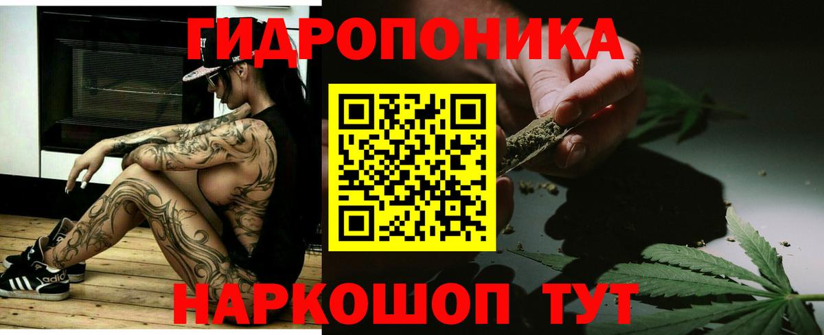 Шишки марихуана OG Kush Элиста
